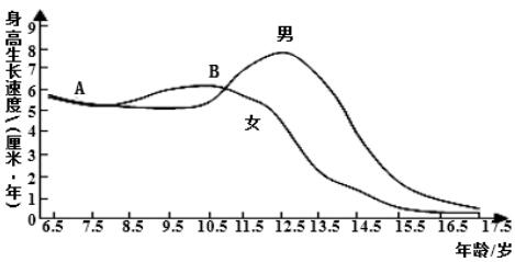 初中生物《人的生長發(fā)育和青春期》模擬題