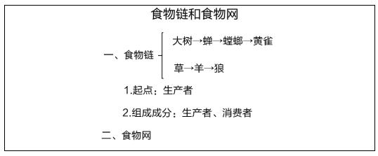 初中生物《食物鏈和食物網(wǎng)》教案