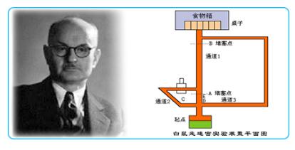 認(rèn)知主義